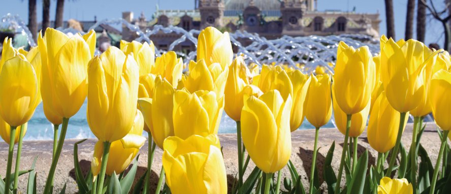 Monte Carlo Monaco © Dimitri Surkov - Fotolia.com