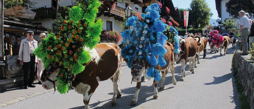 Oberau Niederau Auffach Wildschönau Tirol © Wildschönau Tourismus