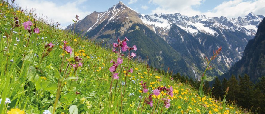 Mayrhofen Zillertal Tirol Österreich © by paul-fotolia.com