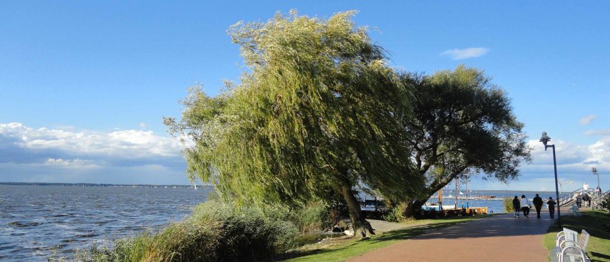 Steinhuder Meer Niedersachsen Deutschland © tassilo111/Pixabay