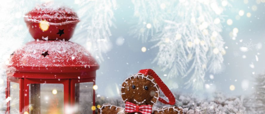  © drubig-photo-stock.adobe.com