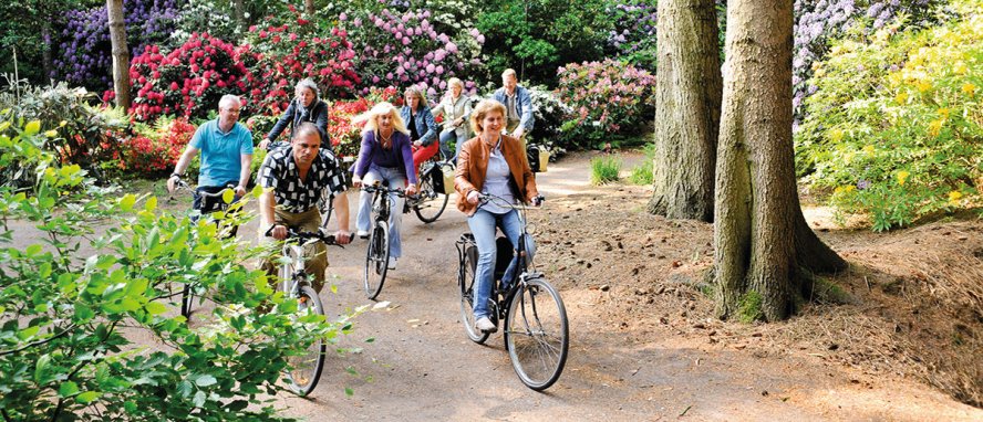 Westerstede Ammerland Niedersachsen Deutschland © www.ammerland-touristik.de 