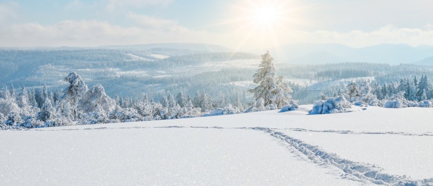 Schwarzwald Baden-Württemberg Deutschland © Corri Seizinger-stock.adobe.com
