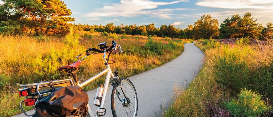 Naturpark Hoge Veluwe Ede Gelderland Holland Niederlande © Martin Bergsma - stock.adobe.com