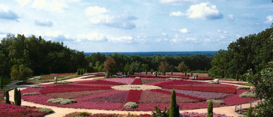 Schneverdingen Lüneburger Heide Niedersachsen Deutschland © Schneverdingen Touristik