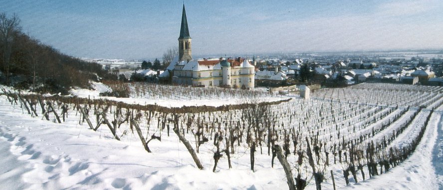 Österreich Wienerwald Gumpoldskirchen Niederösterreich © Wienerwald Tourismus