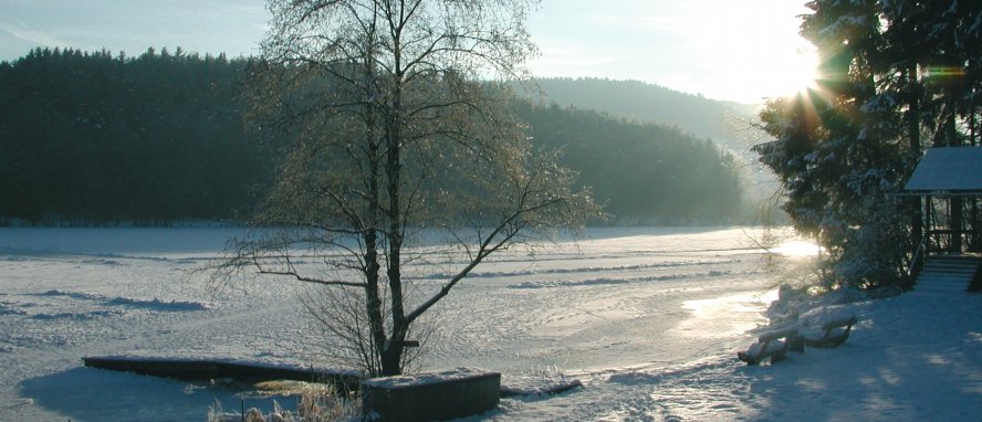 Deutschland Bayern Bayerischer Wald Blaibach © Verkehrsamt Blaibach