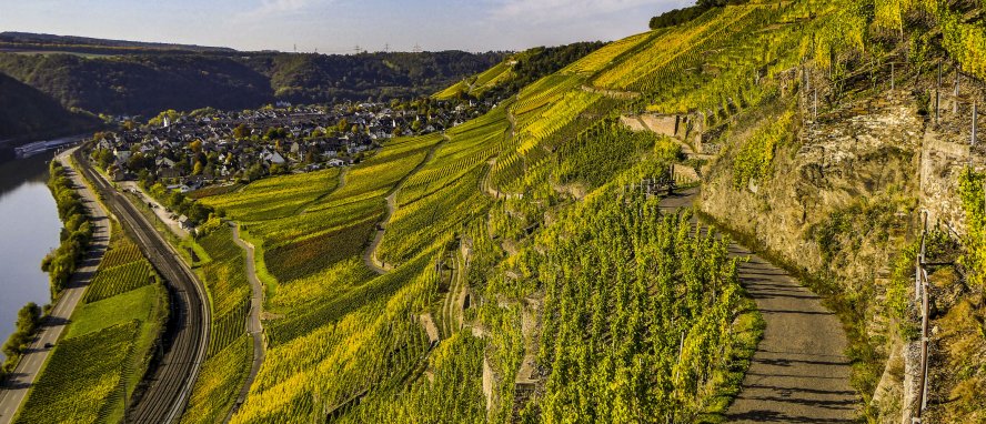 Winningen Mosel Rheinland-Pfalz Deutschland © Klaus Brost / Rheinland-Pfalz Tourismus GmbH