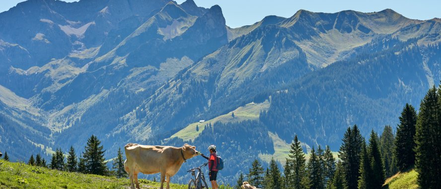 Dorf Au Bregenzerwald Vorarlberg Österreich © Uwe - stock.adobe.com