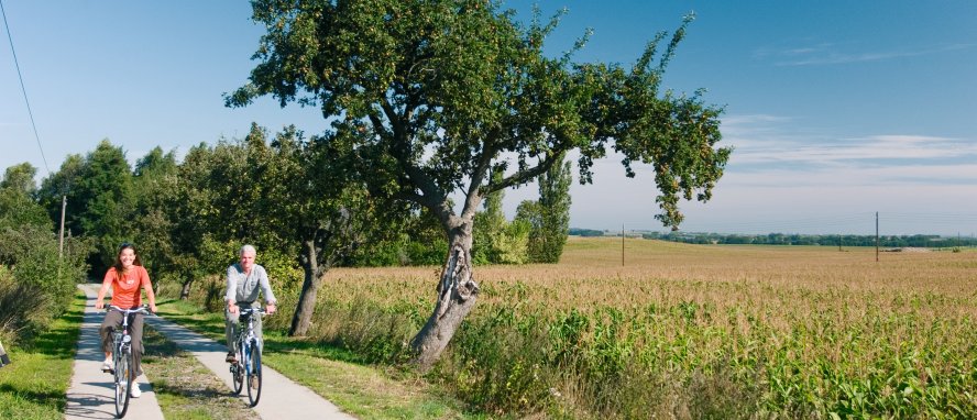 Uckermark Brandenburg Deutschland © Kappest/Uckermark (tmu GmbH)