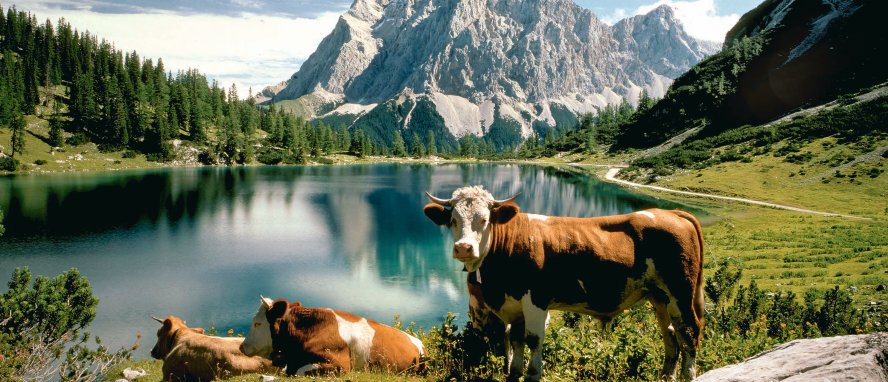 Lermoos Ehrwald Berwang Tiroler Zugspitzarena Österreich © Tiroler Zugspitzarena