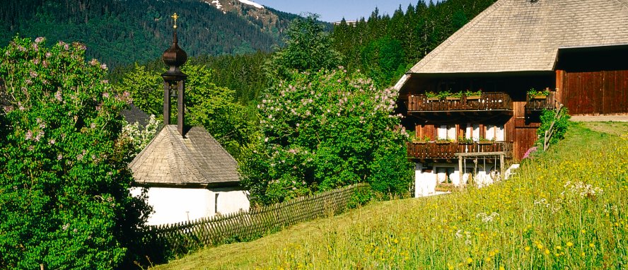 Neustadt Titisee Südlicher Hochschwarzwald Baden Württemberg Deutschland © TI Titisee Neustadt